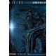 Aliens 3D Wall Art 50 CM