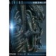 Aliens 3D Wall Art 50 CM