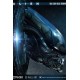 Alien 3D Wall Art Big Chap Head Trophy 58 cm