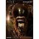 Alien 3: Dog Alien Head Trophy Open Mouth Version Statue