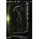 Alien Museum Art Statue / Wall Art Alien Big Chap Action 88 cm