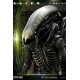 Alien Museum Art Statue / Wall Art Alien Big Chap Action 88 cm