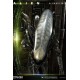 Alien Museum Art Statue / Wall Art Alien Big Chap Action 88 cm