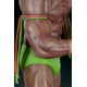 WWE Statue 1/4 Ultimate Warrior 63 cm