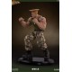 Street Fighter Mixed Media Statue 1/4 Guile Retail Version 44 cm