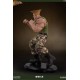 Street Fighter Mixed Media Statue 1/4 Guile Retail Version 44 cm