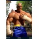 Street Fighter Statue 1/3 Sagat PCS Exclusive 93 cm