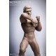 TBLeague(PHICEN) Super Flexible Seamless Stainless Male Muscular Body