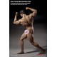 TBLeague(PHICEN) Male Suntan Strong Muscular Seamless Body