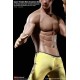 TBLeague(PHICEN) Super Flexible Seamless Stainless Male Muscular Body