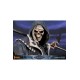 Castlevania Symphony of the Night Statue Death 59 cm