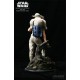 Sideshow Star Wars Luke & Yoda Dagobah Training 1/4 Premium Format