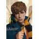 Fantastic Beasts My Favourite Movie Action Figure 1/6 Newt Scamander Grey Coat Ver. 30 cm