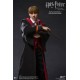 Harry Potter My Favourite Movie Action Figure 1/6 Ron Weasley Deluxe Version 29 cm