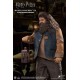 Harry Potter My Favourite Movie Action Figure 1/6 Rubeus Hagrid 2.0 40 cm