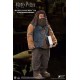 Harry Potter My Favourite Movie Action Figure 1/6 Rubeus Hagrid 2.0 40 cm