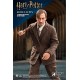 Harry Potter My Favourite Movie Action Figure 1/6 Remus Lupin Deluxe Ver. 30 cm