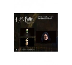 Harry Potter Accessories Set 2.0 for 1/6 Snape 1.0