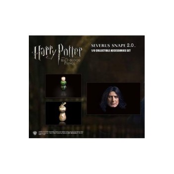 Harry Potter Accessories Set 2.0 for 1/6 Snape 1.0