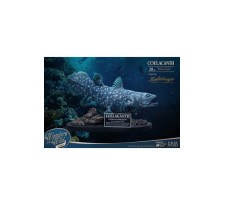 Wonders of the Wild Statue Coelacanth Normal Version 28 cm