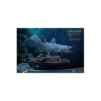 Wonders of the Wild Statue Coelacanth Normal Version 28 cm