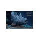 Wonders of the Wild Statue Coelacanth Normal Version 28 cm