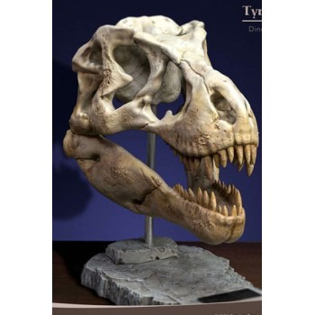 Wonders of the Wild Series Statue T-Rex Head Skull 30 cm