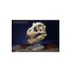Wonders of the Wild Series Statue T-Rex Head Skull 30 cm