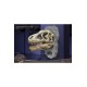 Wonders of the Wild Series Statue T-Rex Head Skull 30 cm