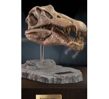 Wonders of the Wild Series Statue Spinosaurus Head Skull 30 cm