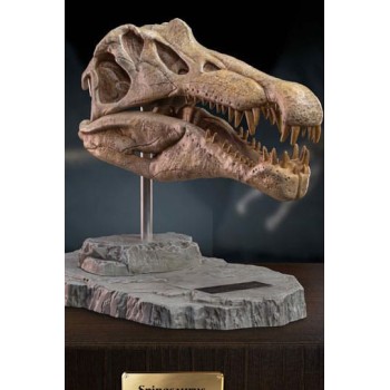 Wonders of the Wild Series Statue Spinosaurus Head Skull 30 cm