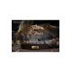 Wonders of the Wild Series Statue Spinosaurus Head Skull 30 cm
