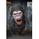 Dawn of the Planet of the Apes Deform Real Series Soft Vinyl Statue Caesar Warrior Face LTD 15 cm