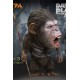 Dawn of the Planet of the Apes Deform Real Series Soft Vinyl Statue Caesar Warrior Face LTD 15 cm