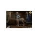 The Golden Voyage of Sinbad Soft Vinyl Statue Ray Harryhausens Centaur 32 cm