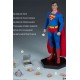 DC Comics Action Figure 1/6 Superman 30 cm