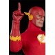 DC Comics Action Figure 1/6 The Flash 30 cm