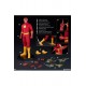 DC Comics Action Figure 1/6 The Flash 30 cm