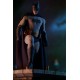 DC Comics Action Figure 1/6 Batman 30 cm