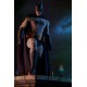 DC Comics Action Figure 1/6 Batman 30 cm