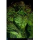 DC Comics Maquette Swamp Thing 61 cm