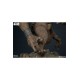 Star Wars Deluxe Statue Rancor 74 cm