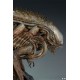 Alien Maquette Alien Warrior Mythos 45 cm