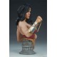 DC Comics Bust Wonder Woman 24 cm