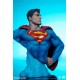 DC Comics Bust Superman 27 cm