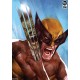 Marvel: The Incredible Hulk vs Wolverine Unframed Art Print