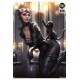 DC Comics Art Print Catwoman: All Tied Up by Kendrick Lim 46 x 61 cm - unframed