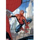Marvel Art Print The Amazing Spider-Man: #800 46 x 61 cm unframed