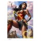 DC Comics Fine Art Print Wonder Woman #755 46 x 61 cm unframed