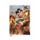 DC Comics Fine Art Print Wonder Woman #750: WWII 46 x 61 cm unframed